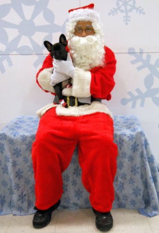 santapaws2012_0001.jpg