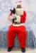santapaws2012_0001_small.jpg