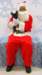 santapaws2012_0002_small.jpg