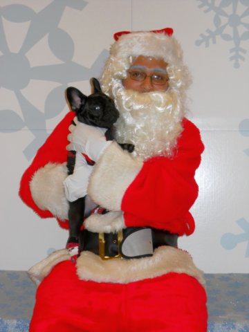 santapaws2012_0003.jpg
