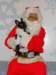 santapaws2012_0003_small.jpg