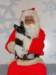 santapaws2012_0004_small.jpg