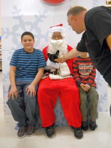 santapaws2012_0007.jpg