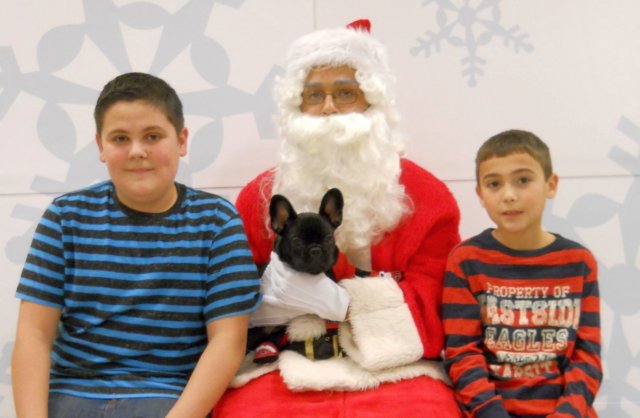 santapaws2012_0010.jpg