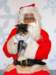santapaws2012_0012_small.jpg