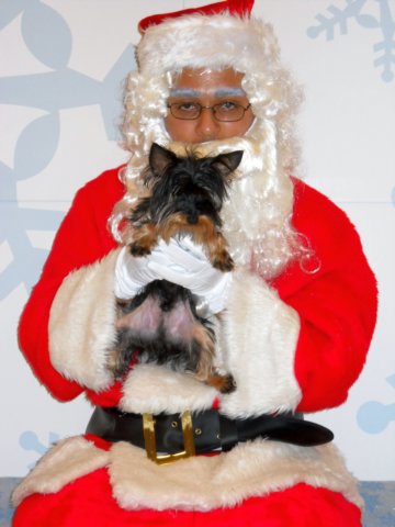 santapaws2012_0013.jpg