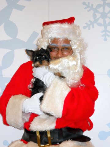 santapaws2012_0015.jpg