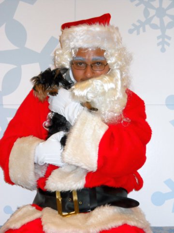 santapaws2012_0016.jpg