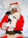 santapaws2012_0016_small.jpg