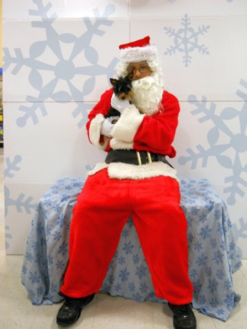 santapaws2012_0018.jpg