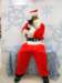 santapaws2012_0018_small.jpg