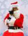 santapaws2012_0019_small.jpg