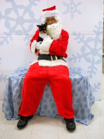 santapaws2012_0021.jpg