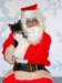 santapaws2012_0023_small.jpg