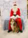 santapaws2012_0024_small.jpg