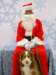 santapaws2012_0027_small.jpg