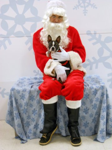 santapaws2012_0032.jpg