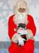 santapaws2012_0033_small.jpg