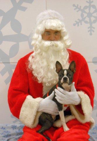 santapaws2012_0035.jpg