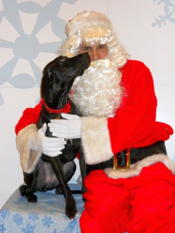 santapaws2012_0037.jpg