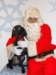 santapaws2012_0038_small.jpg