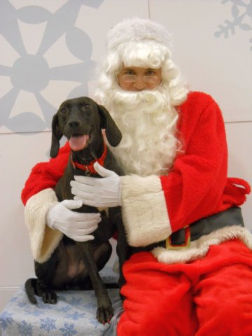 santapaws2012_0040.jpg