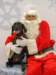 santapaws2012_0040_small.jpg