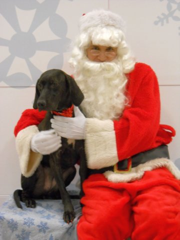 santapaws2012_0041.jpg