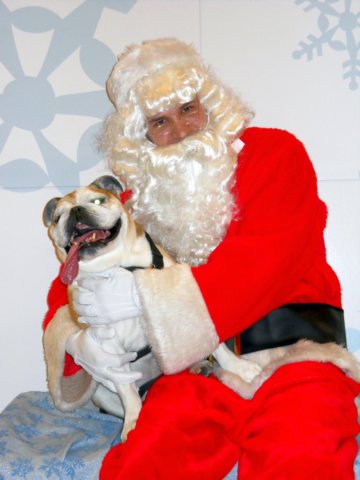 santapaws2012_0046.jpg