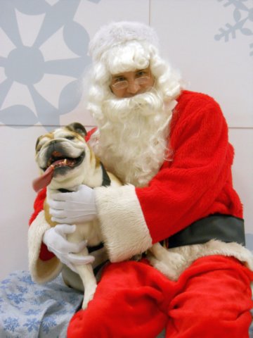 santapaws2012_0047.jpg