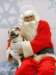 santapaws2012_0047_small.jpg