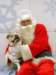 santapaws2012_0048_small.jpg
