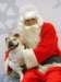 santapaws2012_0049_small.jpg