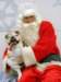 santapaws2012_0050_small.jpg