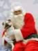 santapaws2012_0051_small.jpg