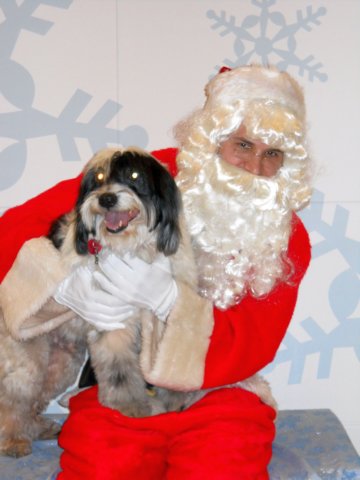 santapaws2012_0052.jpg