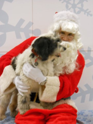 santapaws2012_0055.jpg