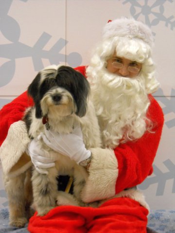 santapaws2012_0058.jpg