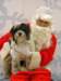 santapaws2012_0058_small.jpg