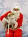 santapaws2012_0060_small.jpg