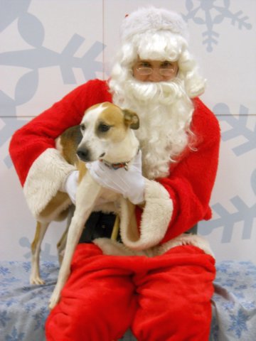 santapaws2012_0063.jpg