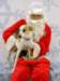 santapaws2012_0063_small.jpg
