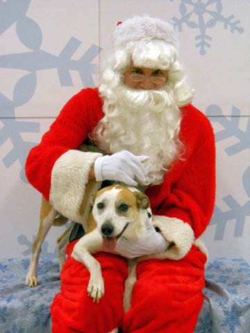 santapaws2012_0065.jpg