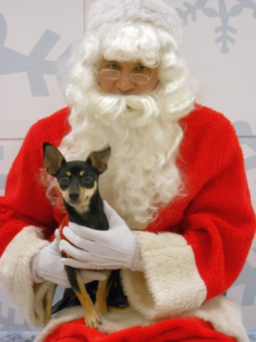 santapaws2012_0067.jpg