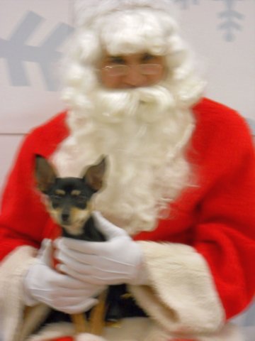 santapaws2012_0069.jpg