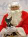 santapaws2012_0070_small.jpg