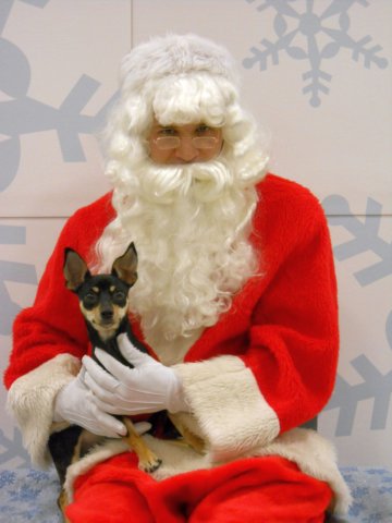 santapaws2012_0071.jpg