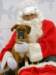 santapaws2012_0073_small.jpg