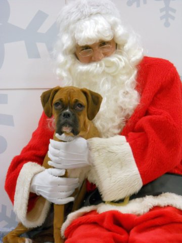 santapaws2012_0074.jpg