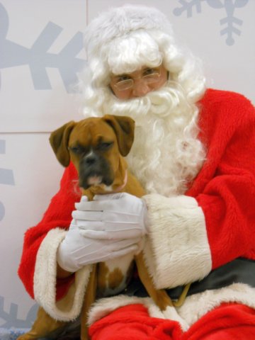 santapaws2012_0075.jpg